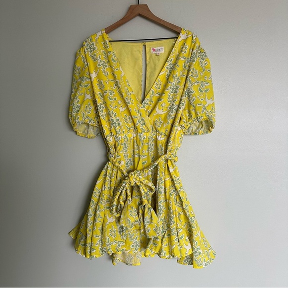 L’atiste by Amy Curvy Yellow Hummingbird Dress - Picture 7 of 12